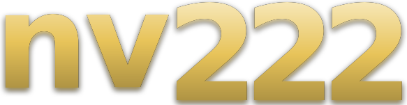 nv222 logo